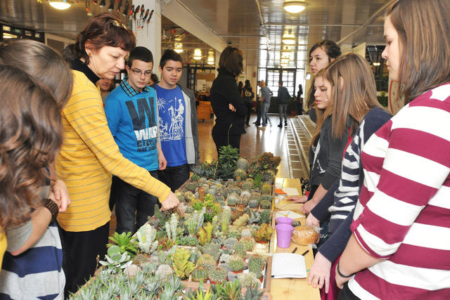 DBKN2013_047