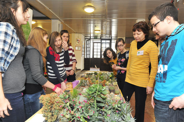 DBKN2013_048