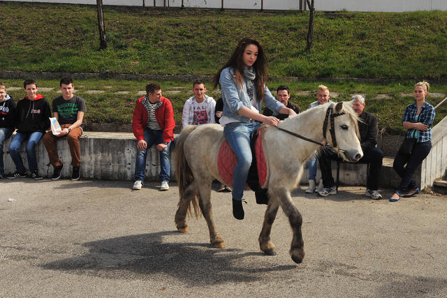 DBKN2013_108