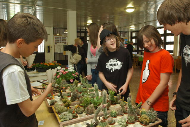 dbkn2011_0099