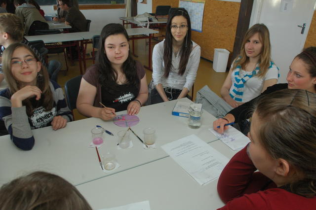 dbkn2011_0135