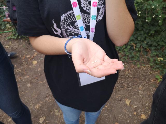 etwinning-orszagos-2023-22